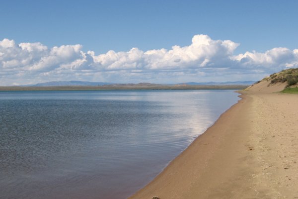 Кракен настоящий сайт