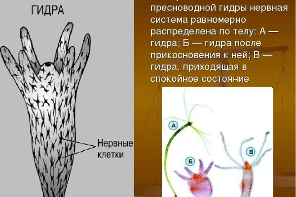 Kra27at